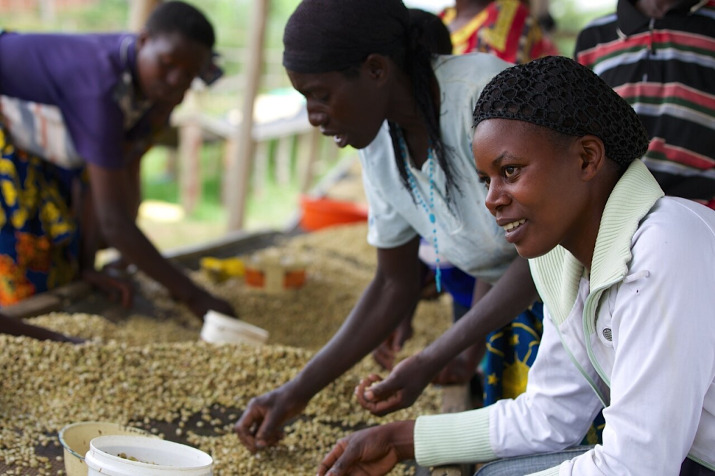 Rwandan Coffee Industry and Domestic Violence: Empowering Women